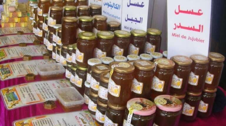 سوق أهراس: إنتاج أزيد من 1500 قنطار من العسل خلال الموسم الفلاحي 2024-2025