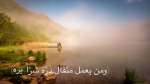 فمن يعمل مثقال ذرة خيرا يره