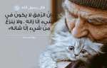الرفق خلق كريم