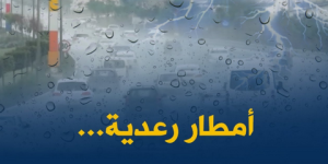 أمطار رعدية ورياح قوية في 12 ولاية