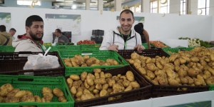 الطارف.. إغراق السوق بالبطاطس المخزنة لضبط أسعارها