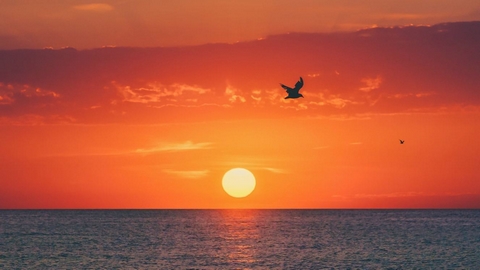 أَفَلَا يَرَوْنَ أَنَّا نَأْتِي الْأَرْضَ نَنْقُصُهَا مِنْ أَطْرَافِهَا