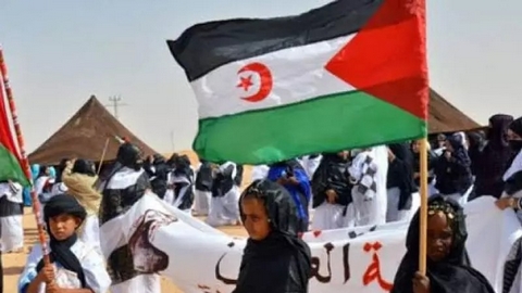 منتدى الشباب الأوروبي يؤكد دعمه للشعب الصحراوي