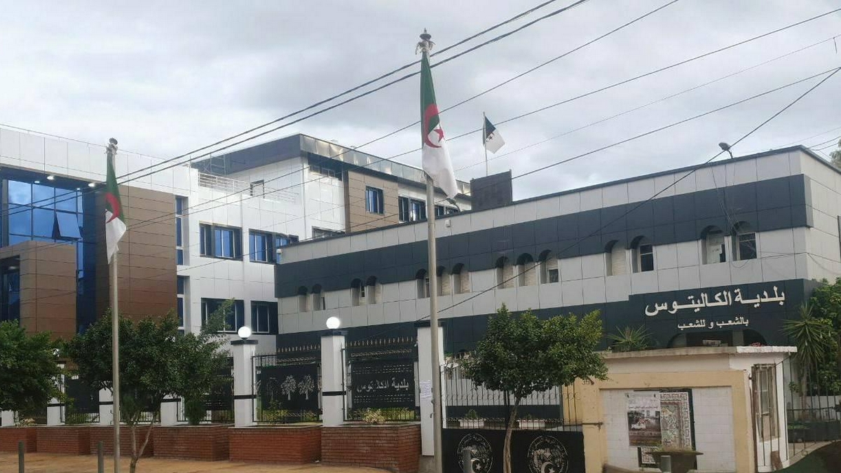 نحو تأسيس مجلس الرياضة ومعاينة مشروع قاعة بالكاليتوس