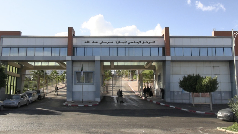 تيبازة.. المركز الجامعي يتدعم بتخصصي الذكاء الاصطناعي والحوسبة المالية