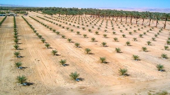 إطلاق عدة مشاريع بالنعامة