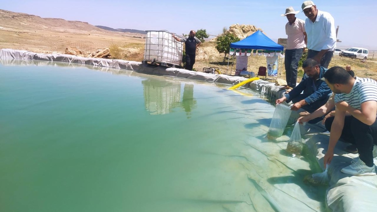 قالمة.. استزراع 1000 وحدة من صغار سمك القمبوزيا بمسطح مائي بعين مخلوف