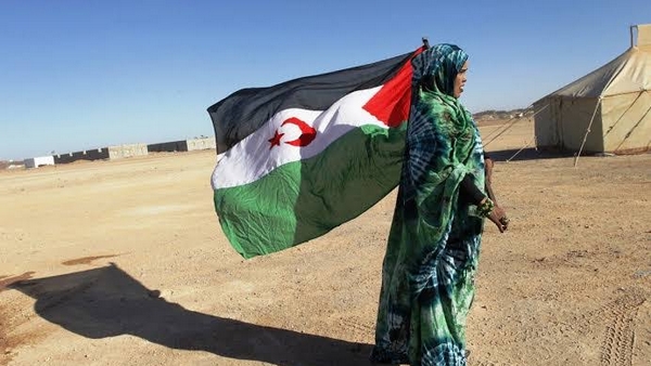 كوديسا: الكرامة الإنسانية تغتال في الأراضي المحتلة والحركة الحقوقية تواجه تحديات جسيمة