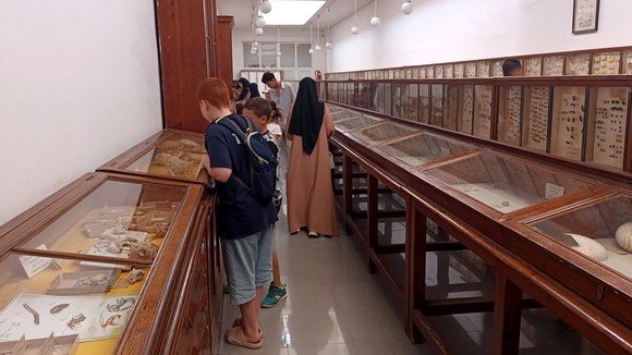 الآثار القديمة تستقطب اهتمام السياح الأجانب