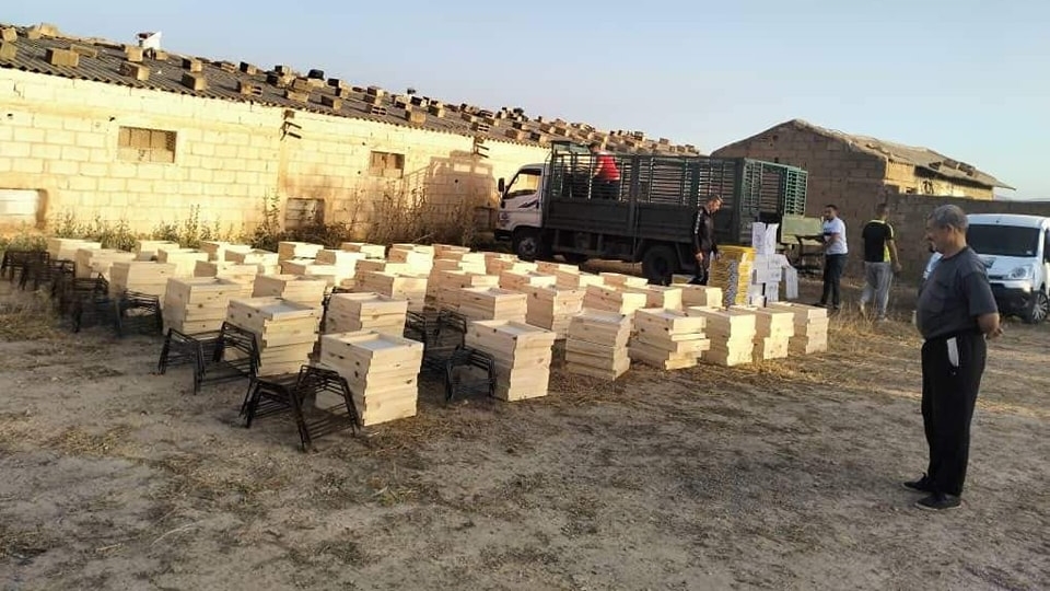 أم البواقي.. دعم صغار الفلاحين بأزيد من 7000 خلية نحل