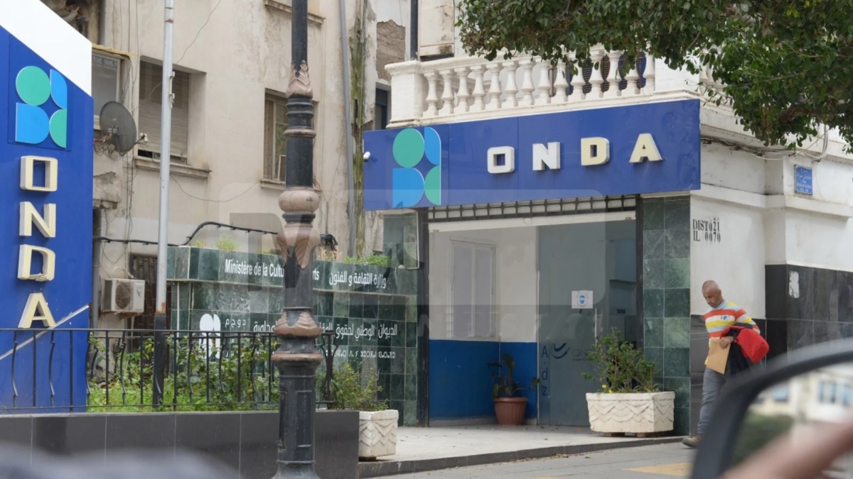 إطلاق خدمة رقمية جديدة لدعم المبدعين