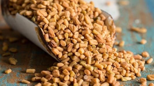 الحلبة.. صديقة صحة النساء