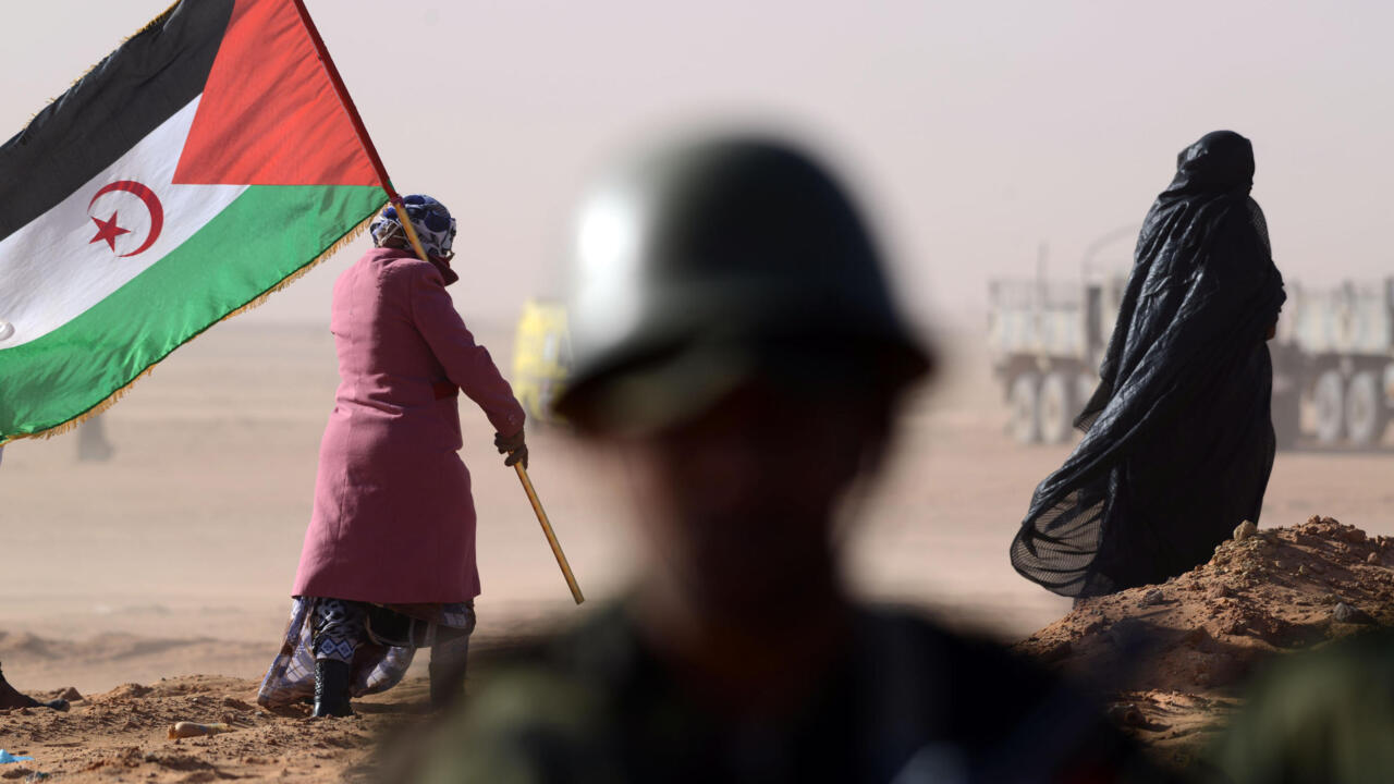 الصحراء الغربية: الدعم الدولي والاعلام الصحراوي ينجح في كسر حصار الاحتلال المغربي