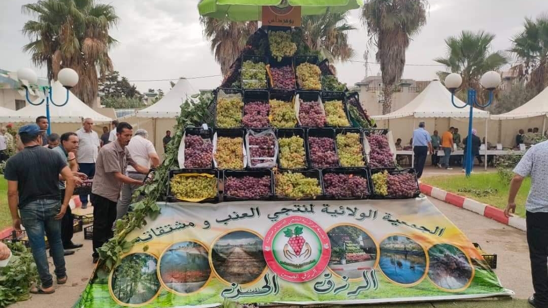 بومرداس.. توقع إنتاج أزيد من خمسة ملايين قنطار من العنب