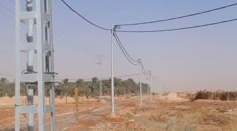 ربط زهاء 300 مستثمرة فلاحية بشبكة الكهرباء بتوقرت