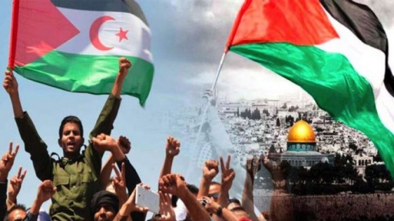 منصة لا تنسوا الصحراء الغربية: فلسطين والصحراء الغربية بين الجدران والقمع والنهب