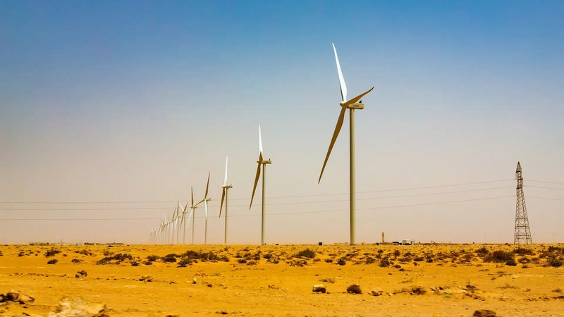 في حوار مع صحيفة ألمانية : مشاريع الاحتلال المغربي لإنتاج الطاقة الخضراء تفتقر لأي شرعية قانونية