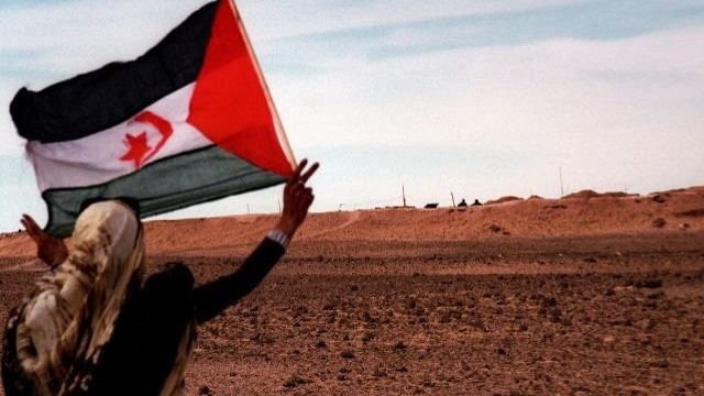 مرصد دولي يدعو الى اتخاذ إجراءات صارمة لحماية حقوق الشعب الصحراوي في ثرواته