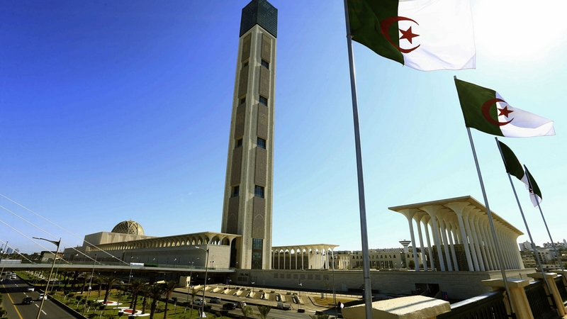 مثل المؤمنين في توادهم وتراحمهم وتعاطفهم كمثل الجسد الواحد – الجزء الثاني والأخير –