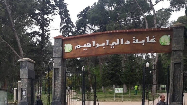 تحويل الفضاءين الغابيين بواديكار والخروب بدالي ابراهيم لديوان حظائر التسلية