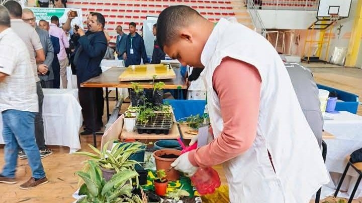 الوادي.. تخصيص أكثر من 190 منصب تكوين في الوسط الريفي برسم دورة أكتوبر 2025